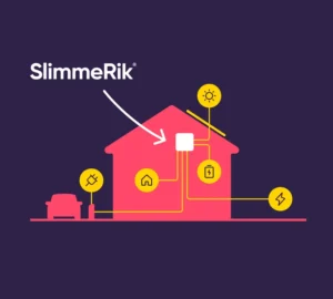 Hoe werkt een EMS systeem?